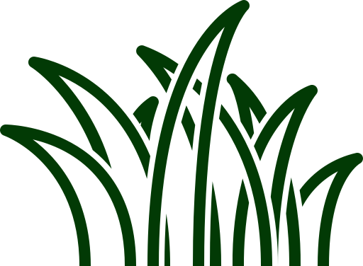 Turf & Sod